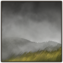Possible illustration 12